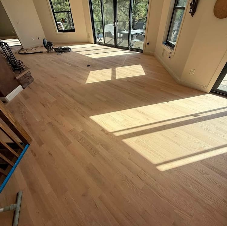 Light wood flooring in a sunlit living room